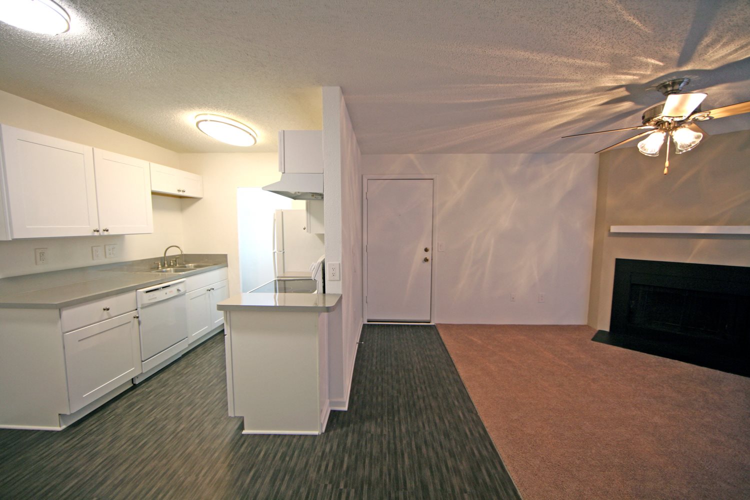 Gallery Photo 17